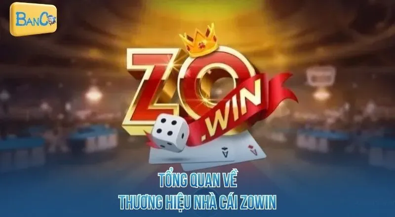 tong-quan-ve-thuong-hieu-nha-cai-zowin