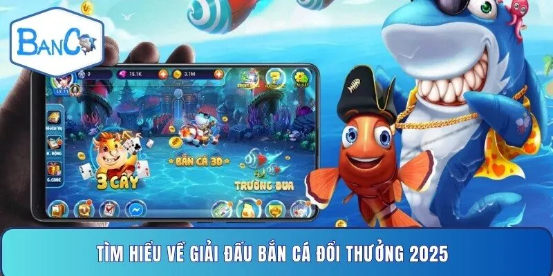 tim-hieu-ve-giai-dau-ban-ca-doi-thuong-2025