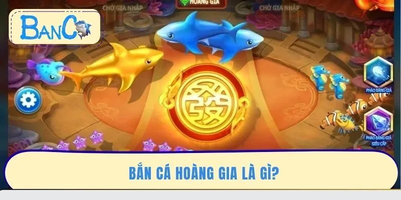 ban-ca-hoang-gia-la-gi