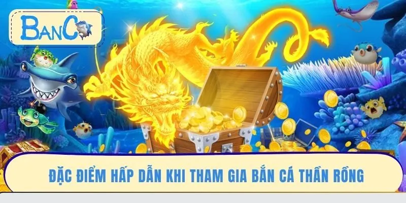 dac-diem-hap-dan-khi-tham-gia-ban-ca-than-rong