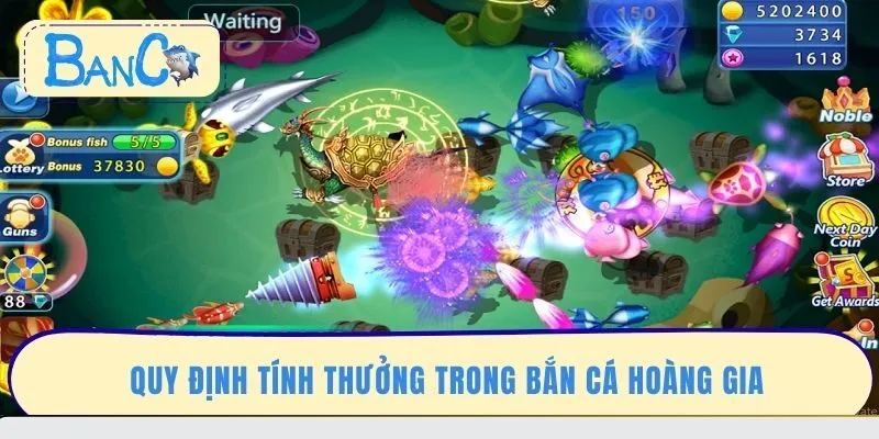 quy-dinh-tinh-thuong-trong-ban-ca-hoang-gia