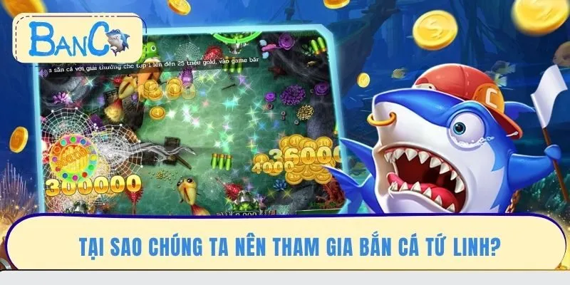 tai-sao-chung-ta-nen-tham-gia-ban-ca-tu-linh